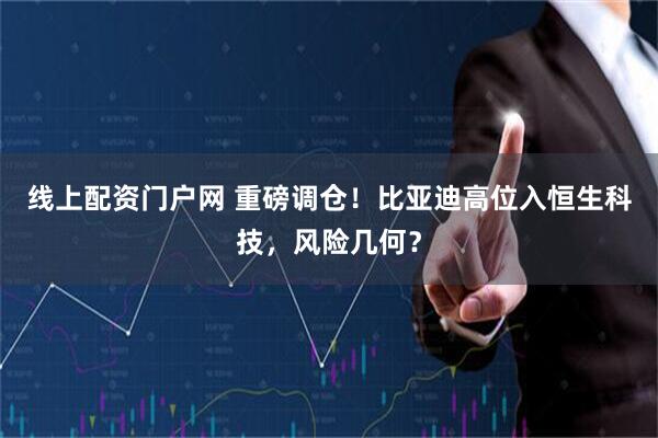 线上配资门户网 重磅调仓！比亚迪高位入恒生科技，风险几何？
